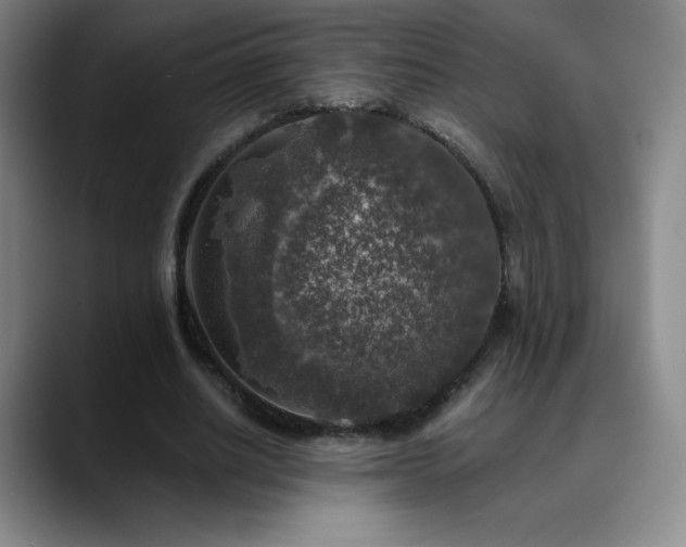 X0000090440630200707131220