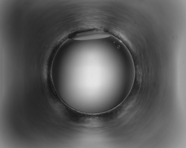 X0000090440631200707131220