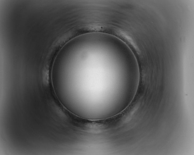 X0000090440633200707131220