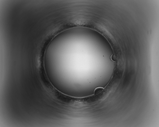 X0000090440635200707131220