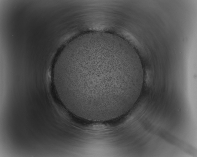 X0000090440636200707131220