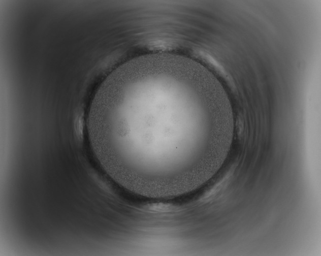 X0000090440637200707131220