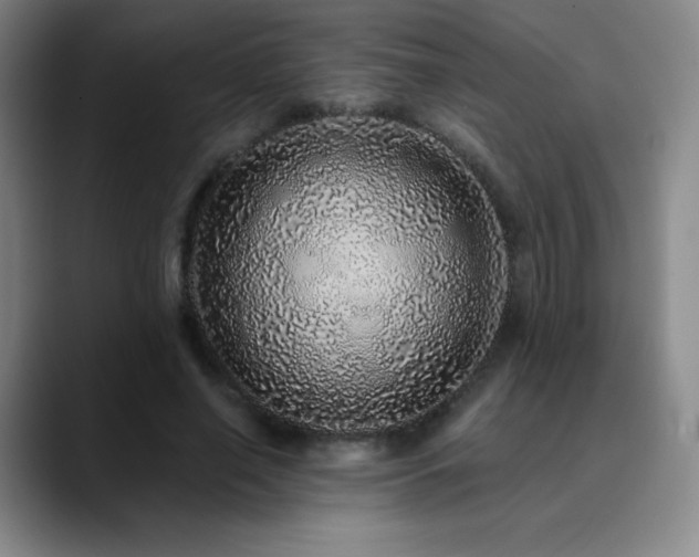 X0000090440638200707131220