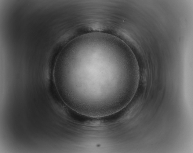 X0000090440639200707131220