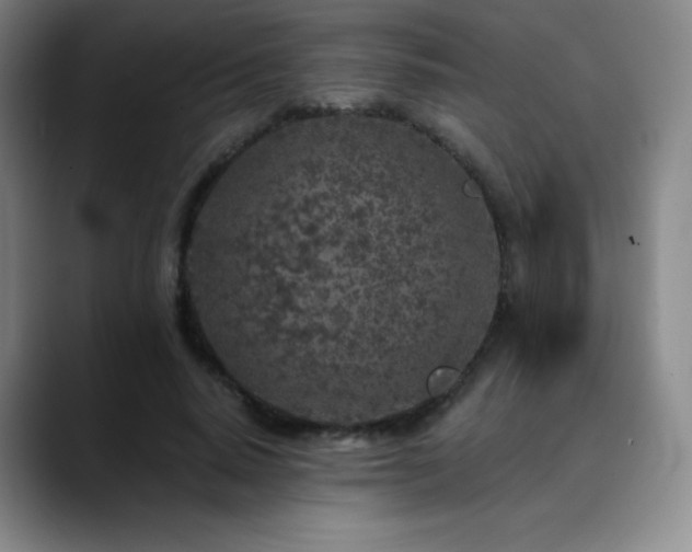 X0000090440640200707131220