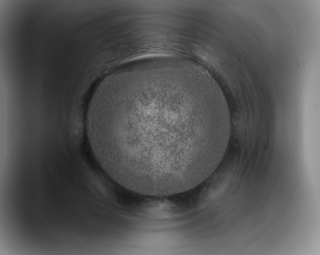 X0000090440642200707131220