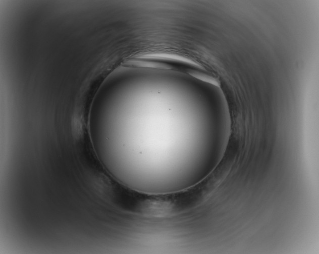 X0000090440644200707131220