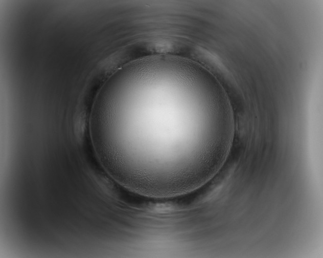 X0000090440645200707131220