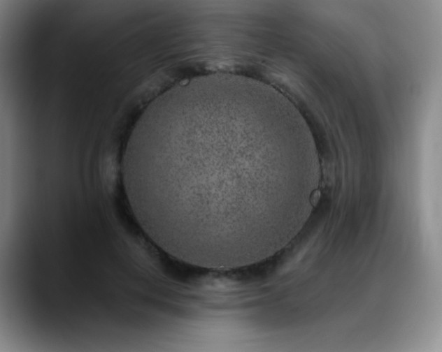 X0000090440648200707131220