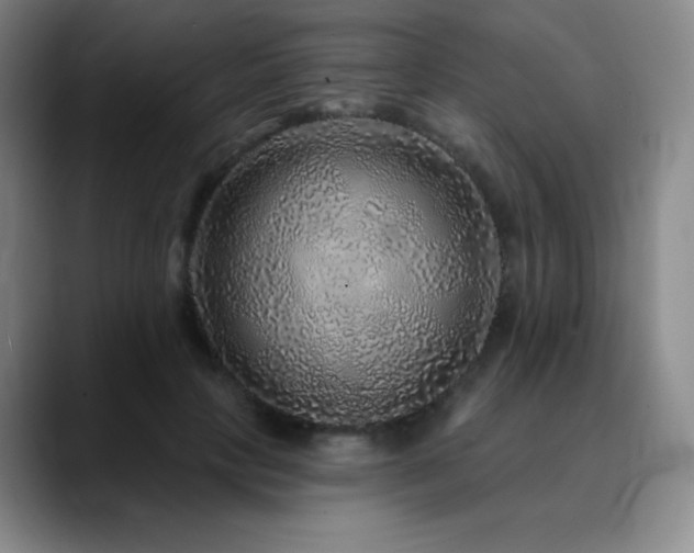 X0000090440649200707131220