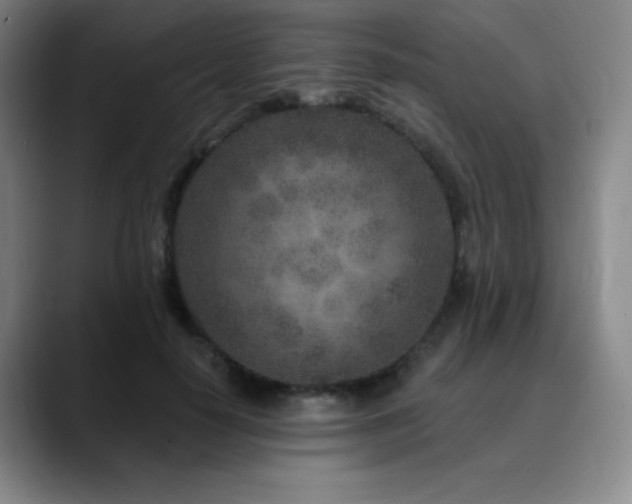 X0000090440650200707131220