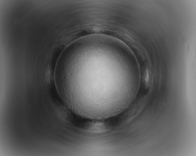 X0000090440651200707131220