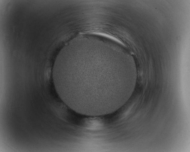 X0000090440652200707131220