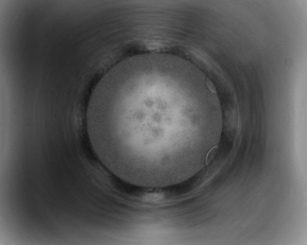 X0000090440653200707131220