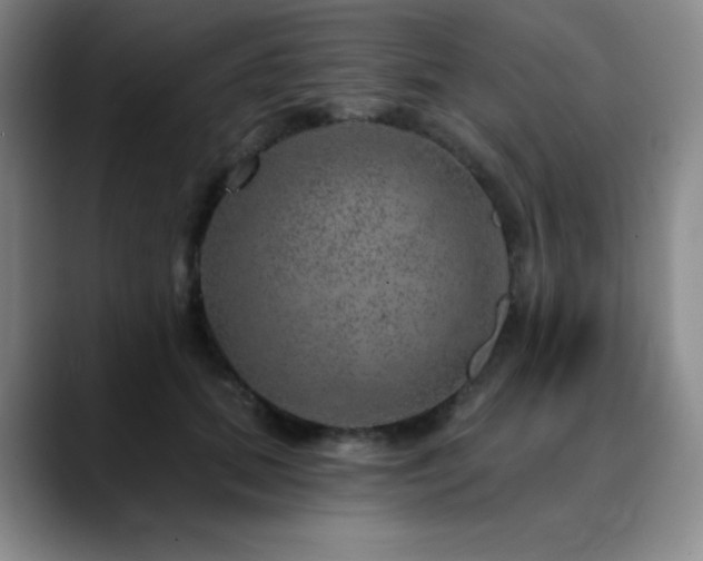 X0000090440655200707131220