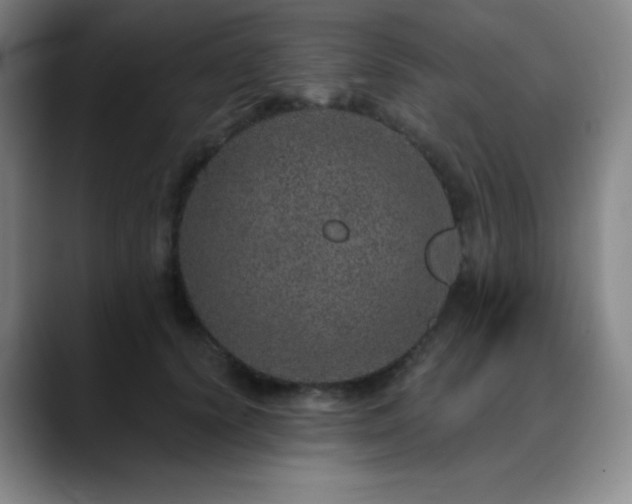 X0000090440656200707131220