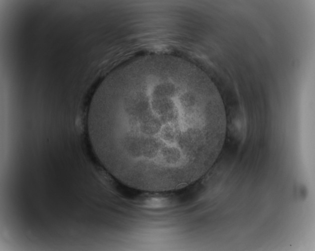 X0000090440658200707131220