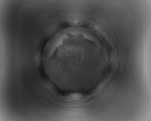 X0000090440659200707131220