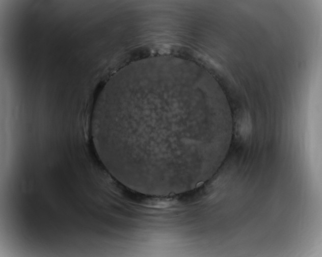 X0000090440661200707131221