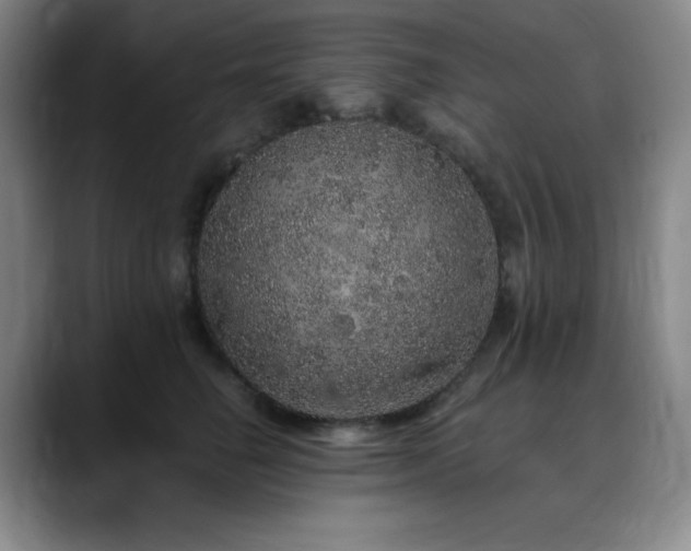 X0000090440662200707131221