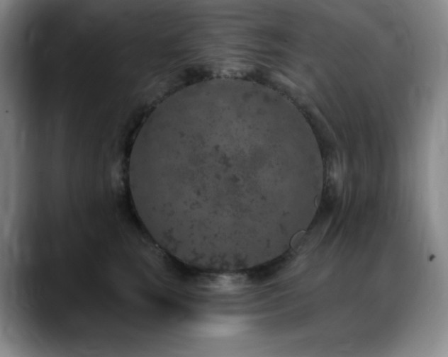 X0000090440663200707131221