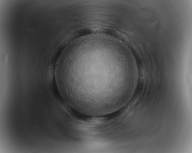 X0000090440664200707131221