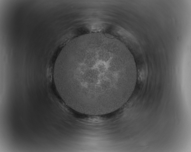 X0000090440666200707131221