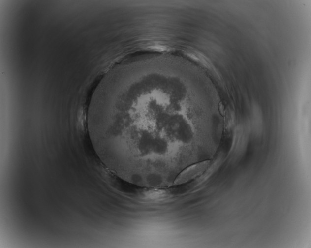 X0000090440669200707131221