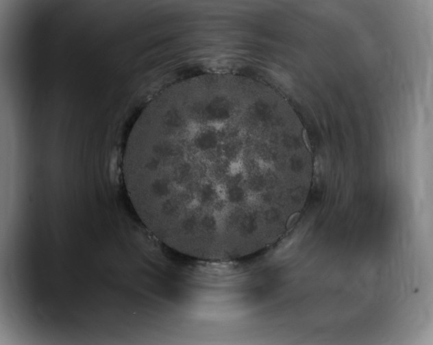 X0000090440671200707131221