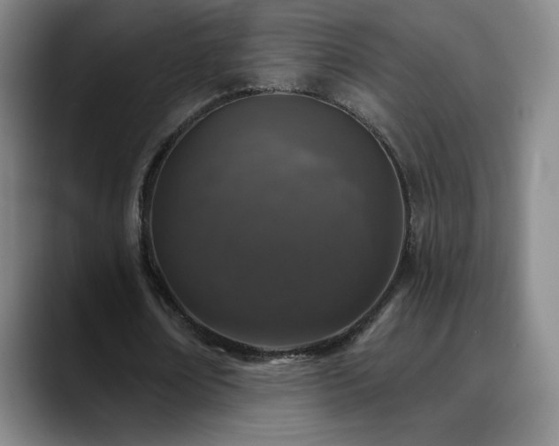 X0000090440674200707131220