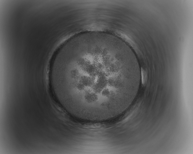 X0000090440675200707131220