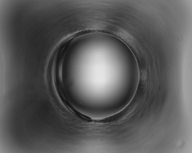 X0000090440676200707131220