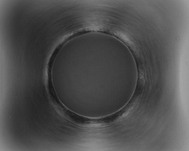 X0000090440678200707131220