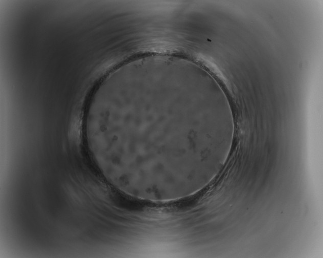 X0000090440679200707131220