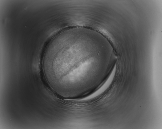 X0000090440680200707131220