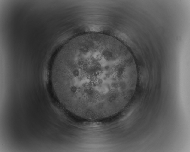 X0000090440683200707131220