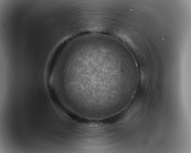 X0000090440684200707131220