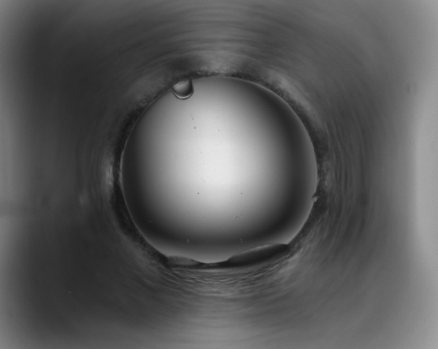 X0000090440685200707131220