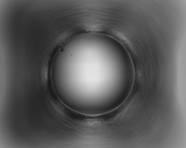 X0000090440686200707131220