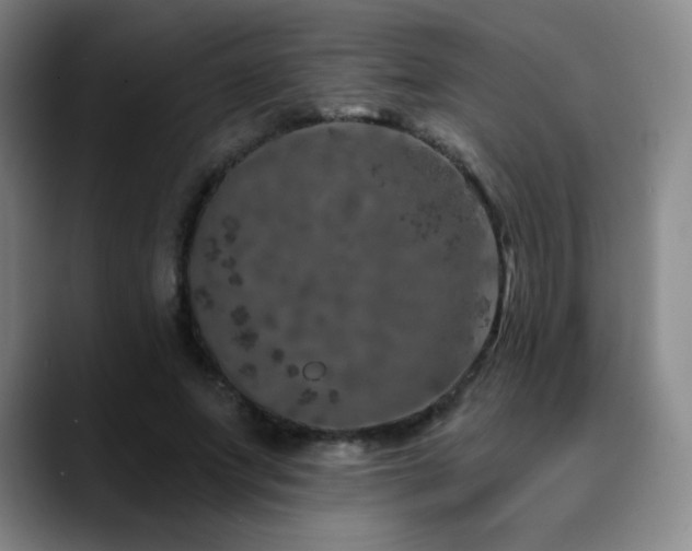 X0000090440687200707131220