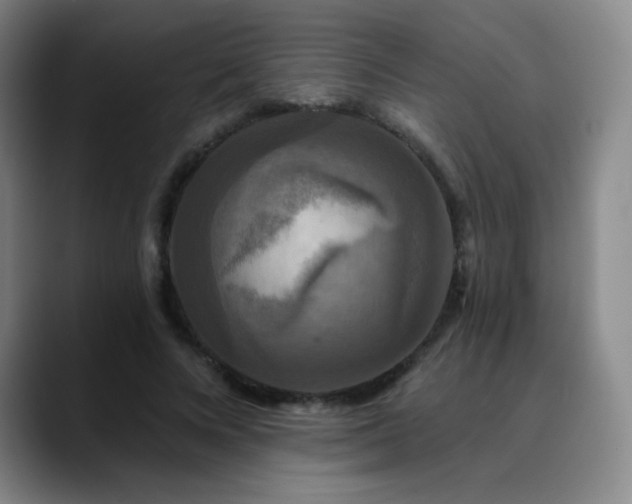 X0000090440688200707131220