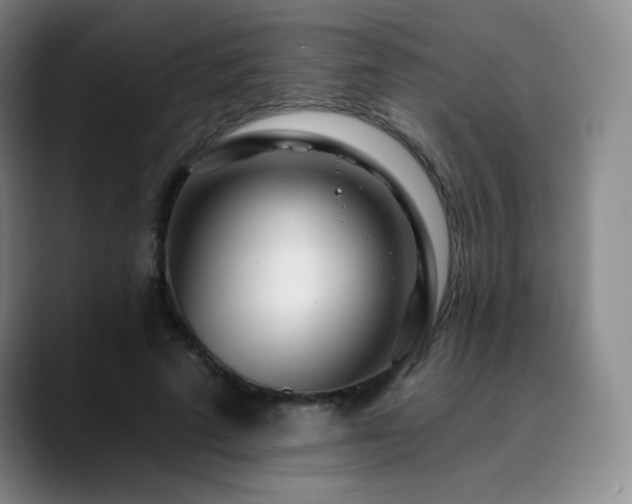 X0000090440689200707131220