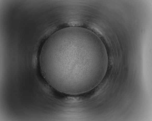 X0000090440690200707131220