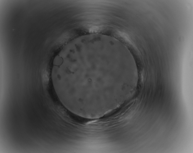 X0000090440691200707131220