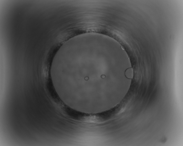 X0000090440695200707131220