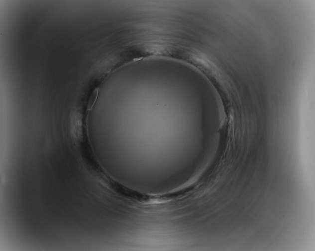 X0000090440696200707131220