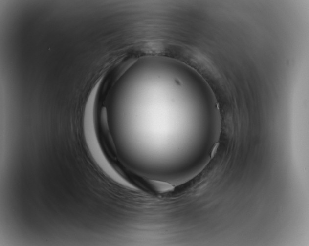 X0000090440697200707131220