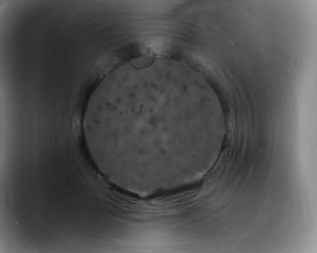 X0000090440699200707131220