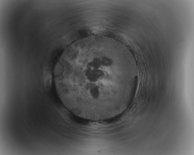 X0000090440703200707131220