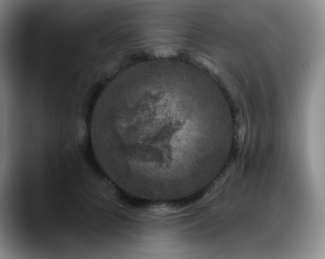 X0000090440704200707131220